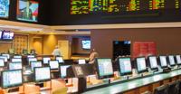 Sports Betting Software