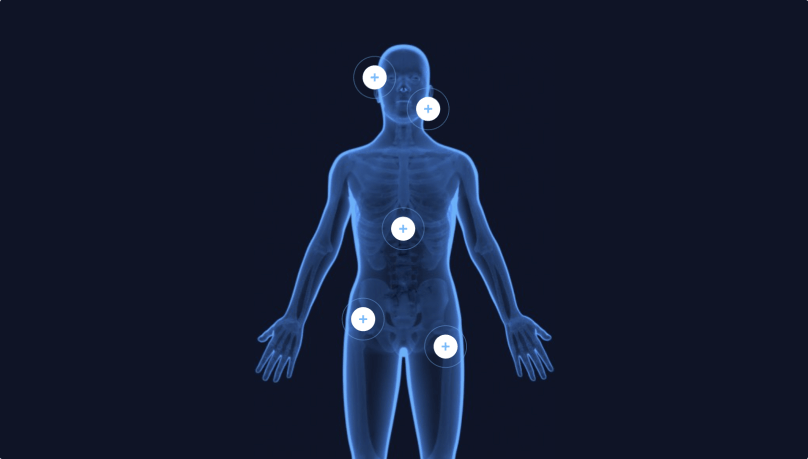 Exemplary Screenshot from the Client’s Application