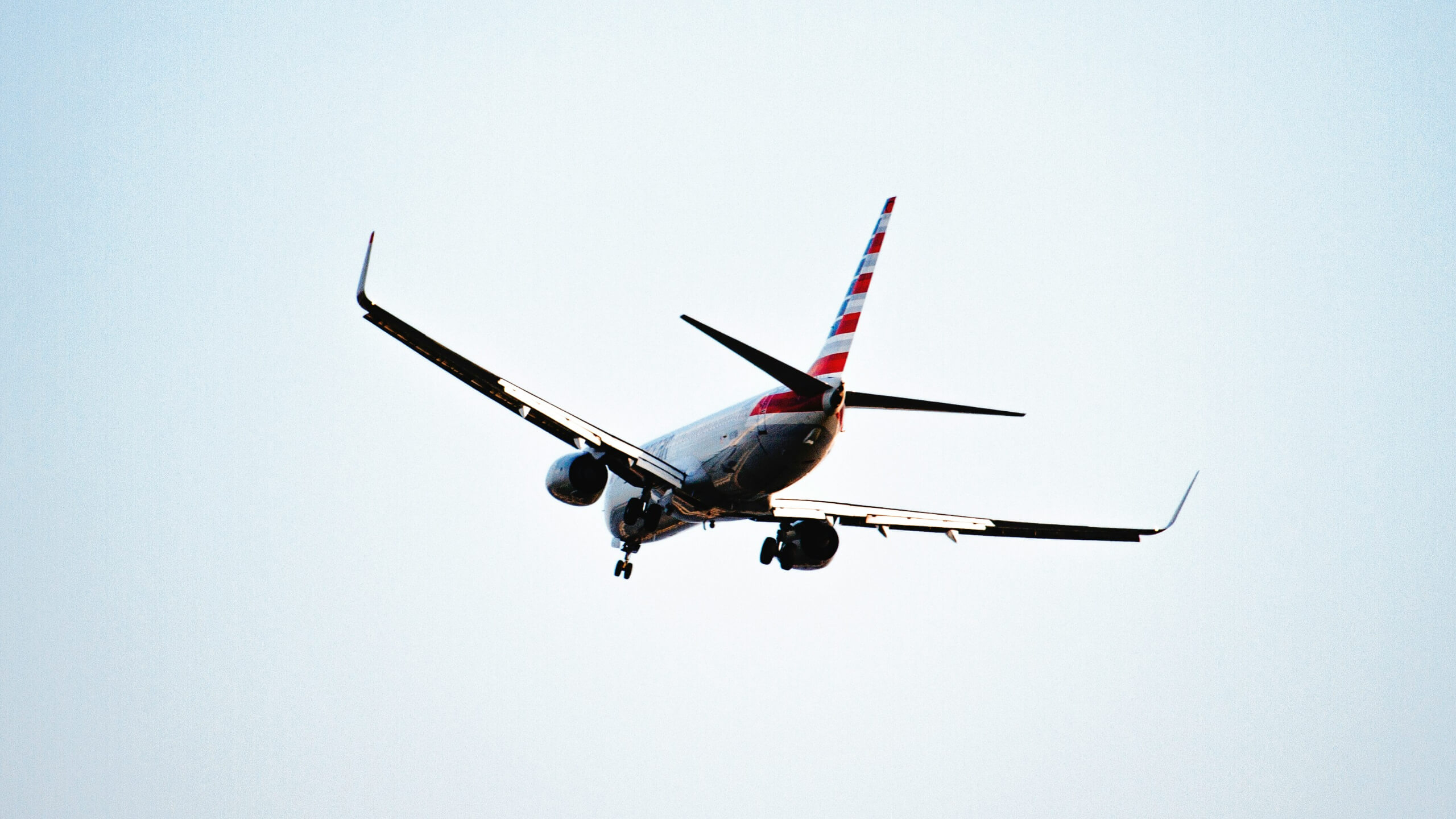 Travel Distribution Network BANNER