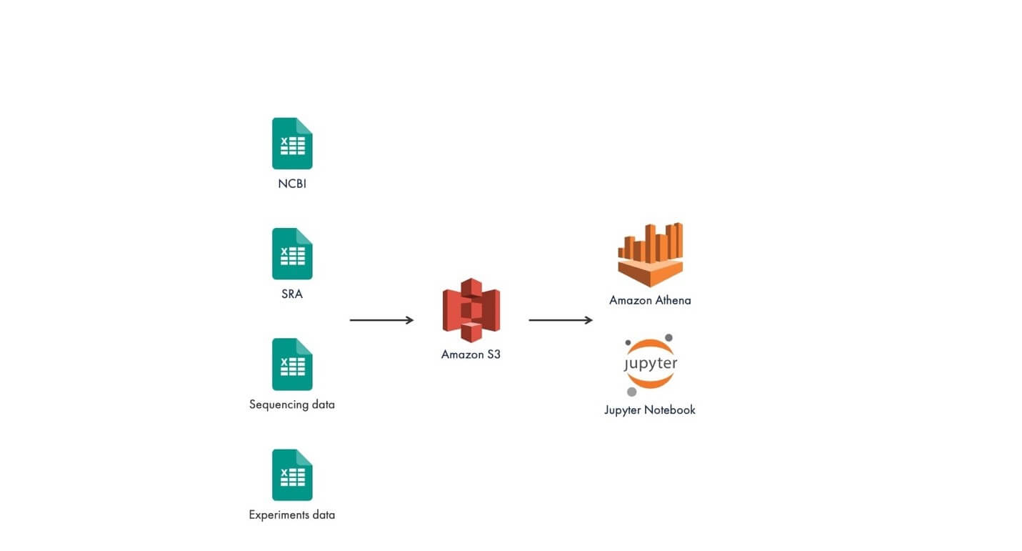 NCBI Data Analysis and Effective Approaches with AWS